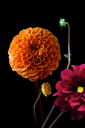 为什么苹果官网明明比第三方平台贵，还有人会选择官网？