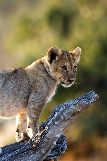 女子称在杭州上门做饭，每天 6 单月薪近 2 万，真能挣这么多吗？私厨这一职业发展前景怎么样？