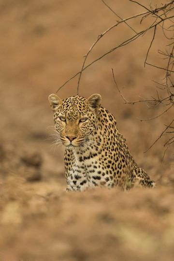 同一个时间，直属领导和领导的领导安排事给你做，先办哪个呢？