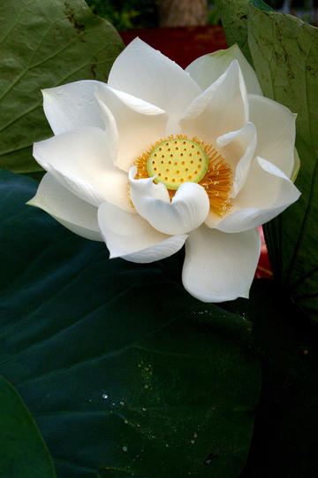 【关税与反制】 | 联合解读美国全球关税和中国反制的市场影响