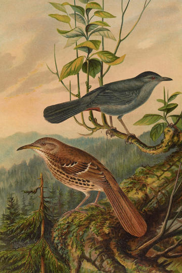 阿Sa回应郑中基离婚传闻