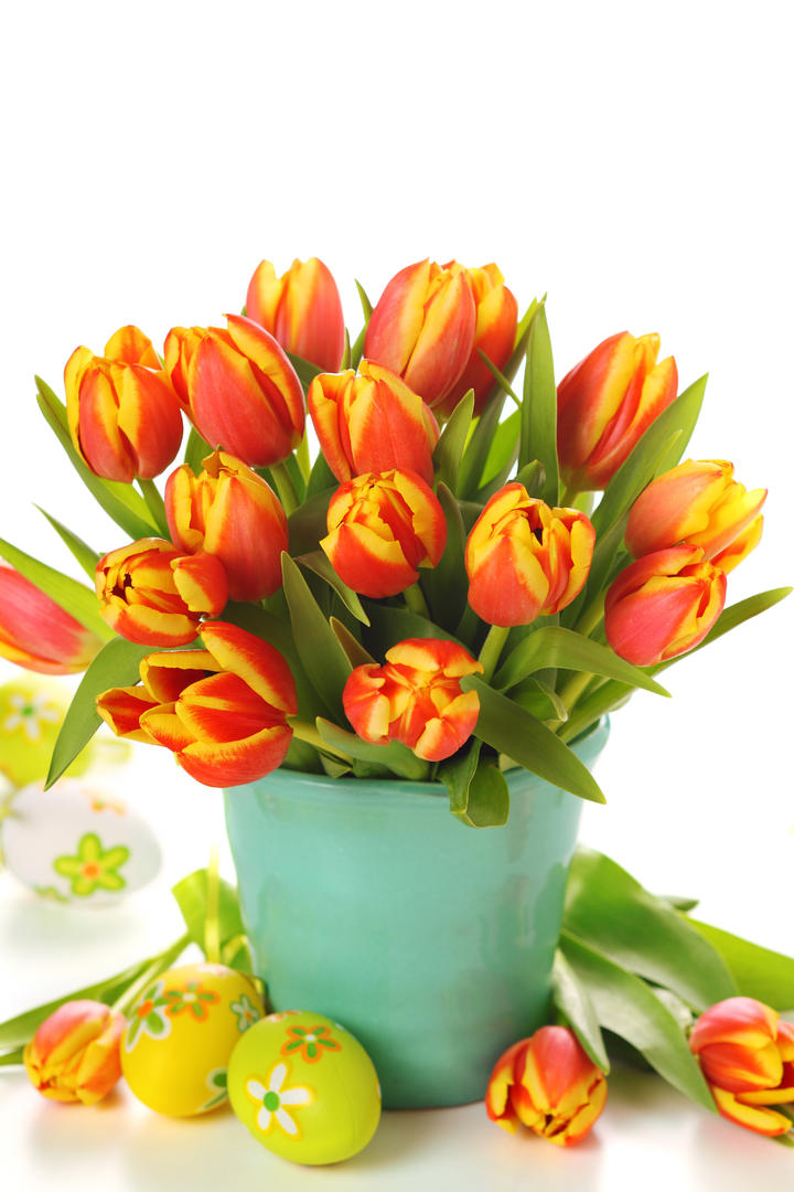 为什么春晚跳舞灵活的机器人，却做不好端茶倒水这些简单动作？