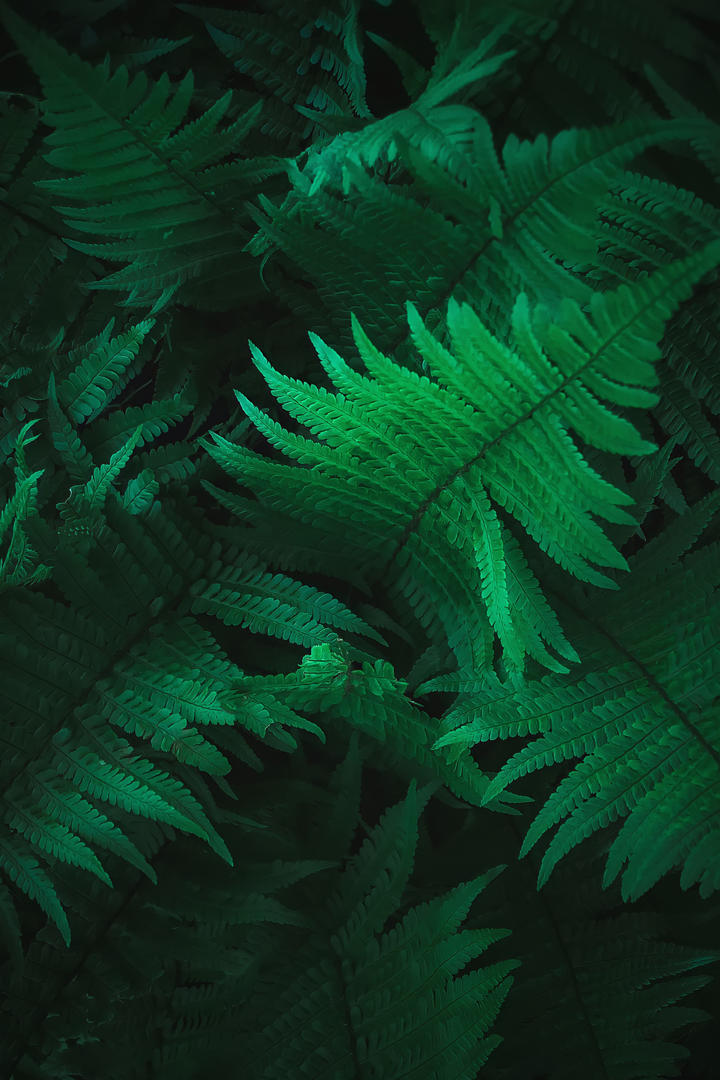 非洲工作手记:我最讨厌中国网红在非洲找美女小助理，太庸俗了